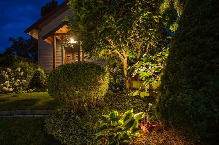 Beautifully Illuminated Backyard of Residential House. Landscape Garden with Ambient Lighting System Installation Highlighting Plants