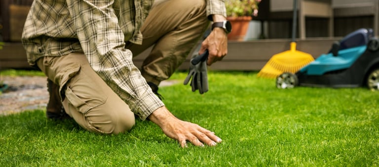 Man touch perfect green grass with hand. lawn care and landscaping service