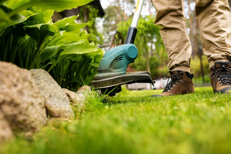 Cutting grass with string trimmer. edging lawn